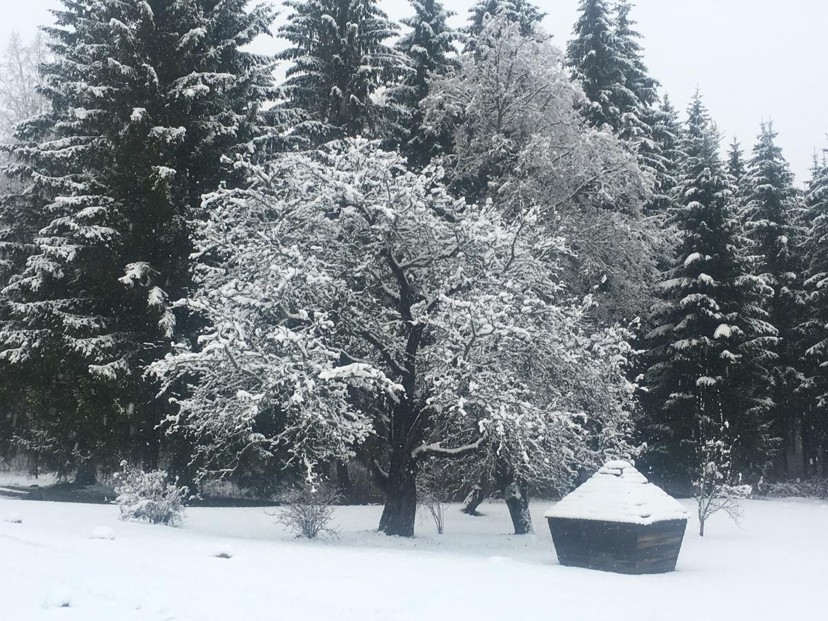 Koveri Holiday Center Екстериор снимка